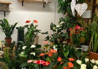 Addobbi per comunioni a Portogruaro