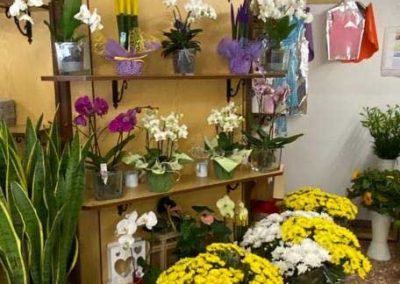 Addobbi floreali Fioreria Tonasso